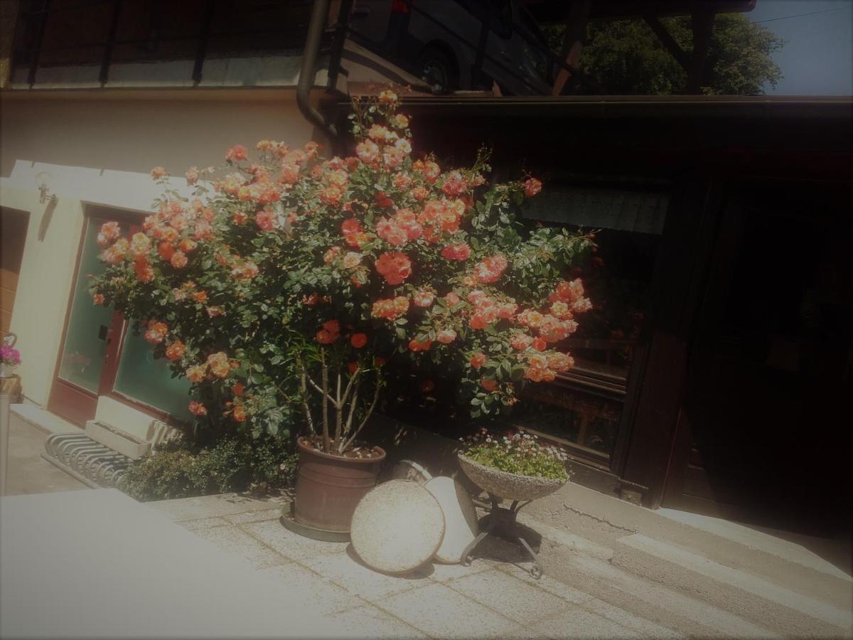 Appartement - Ferienwohnungen - Gaestehaus Gabriele Drobollach am Faakersee Exterior foto